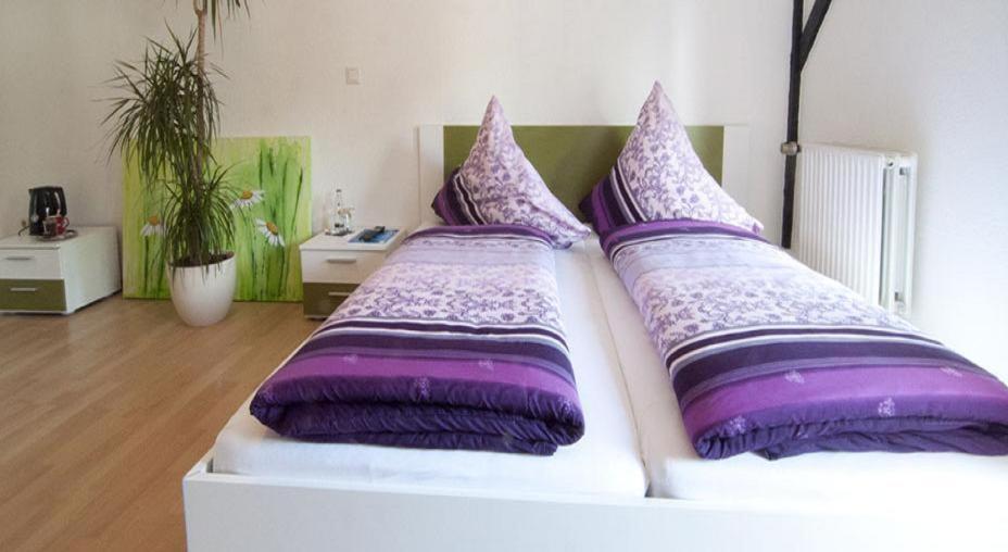 Pohlhof 3* Kolonia